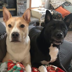 Meet your Posher, Julie anne